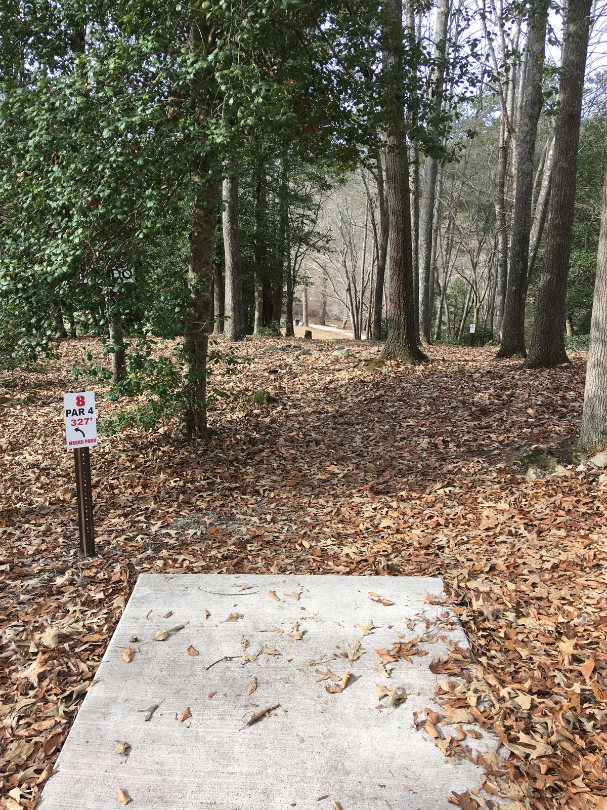 Hole 8 - top-of-the-world shot.