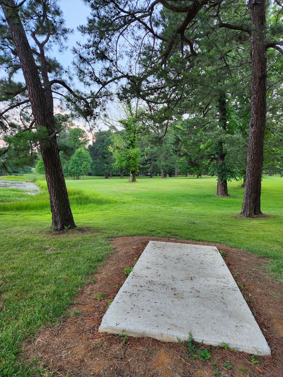 Hole 7 alternate tee