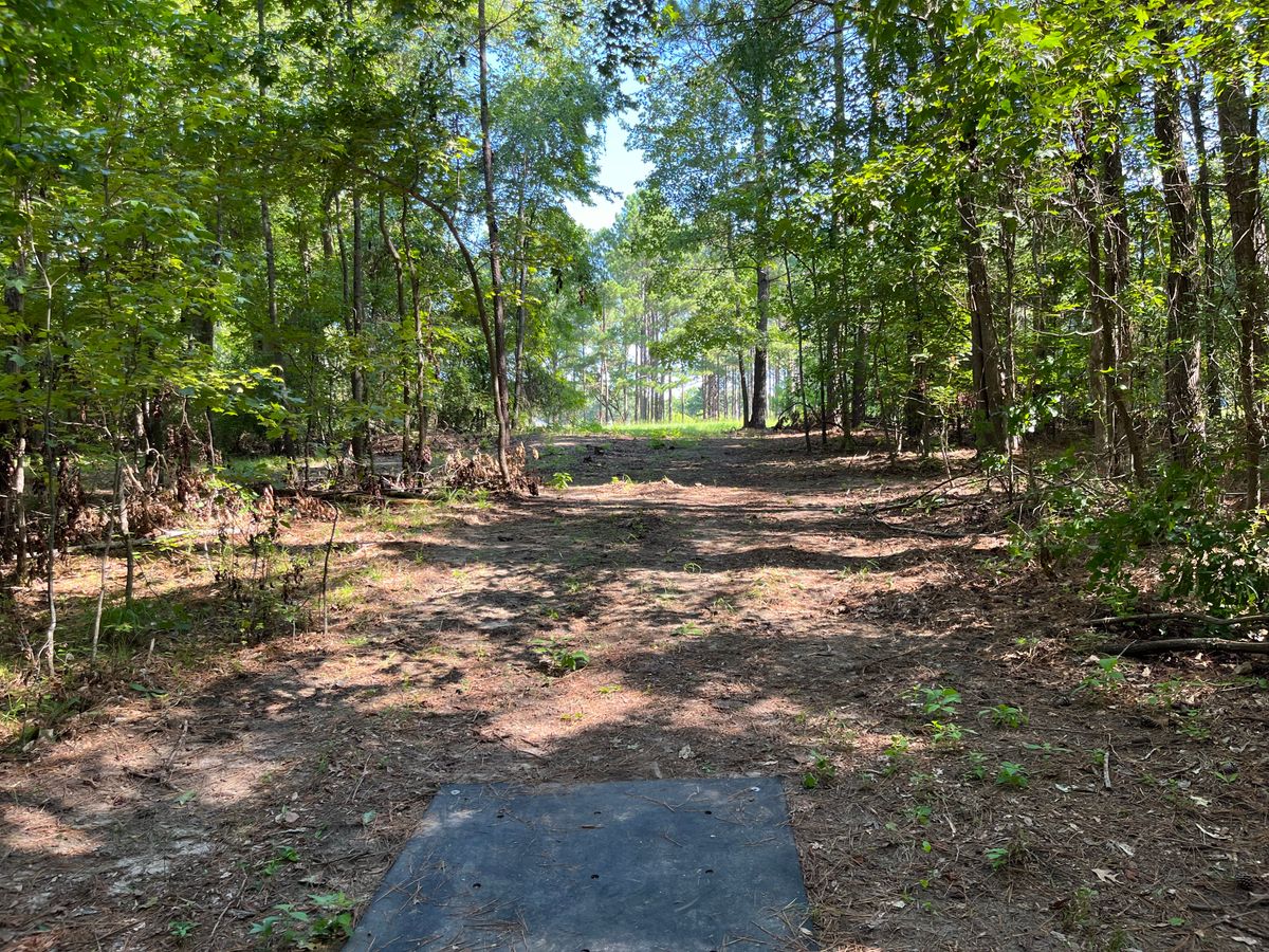 Hole 4 tee box