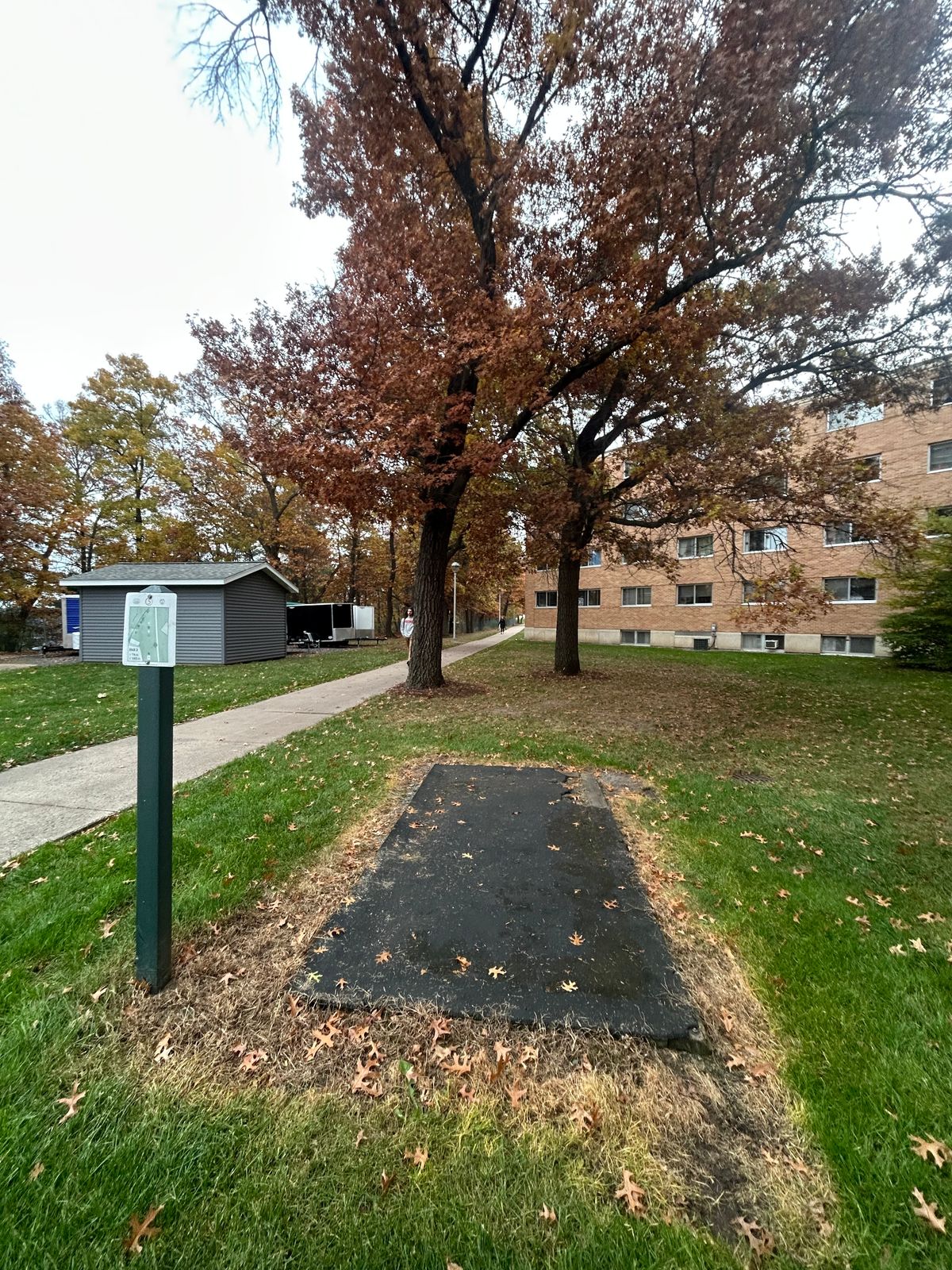 Hole 5 basket, couple minutes away from 1-4