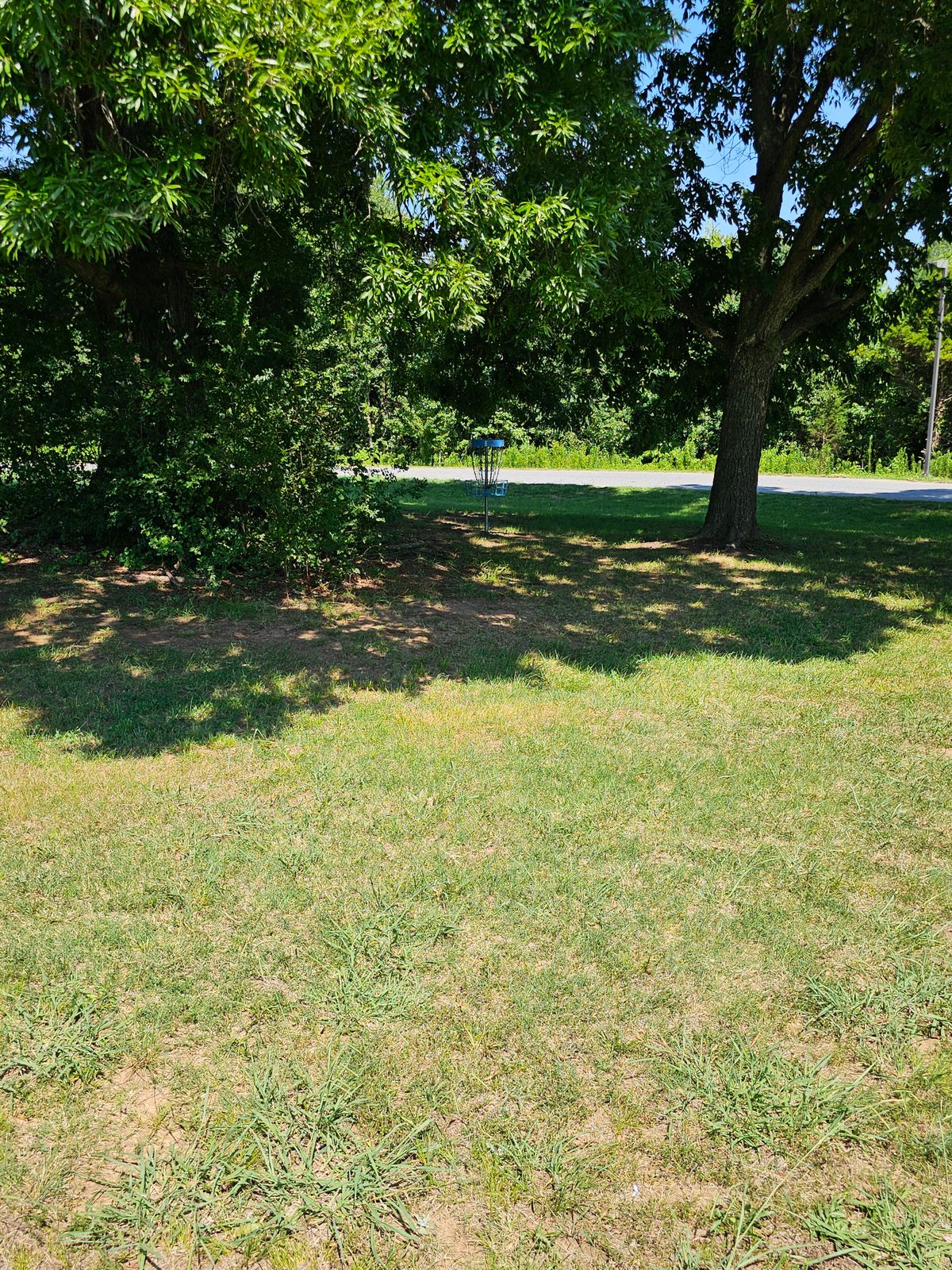 Hole 5's fairway