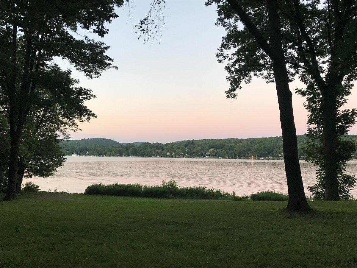 The view