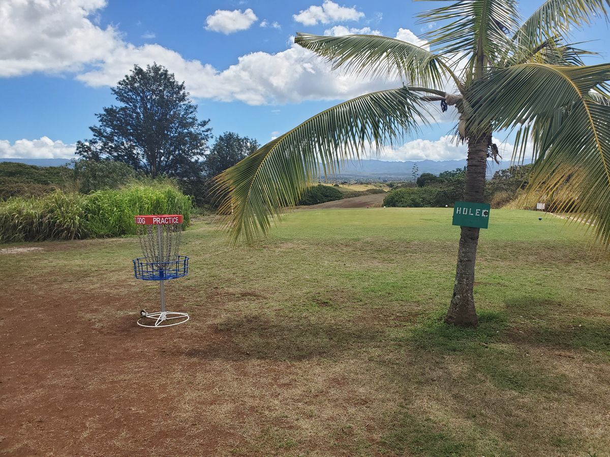 Practice basket