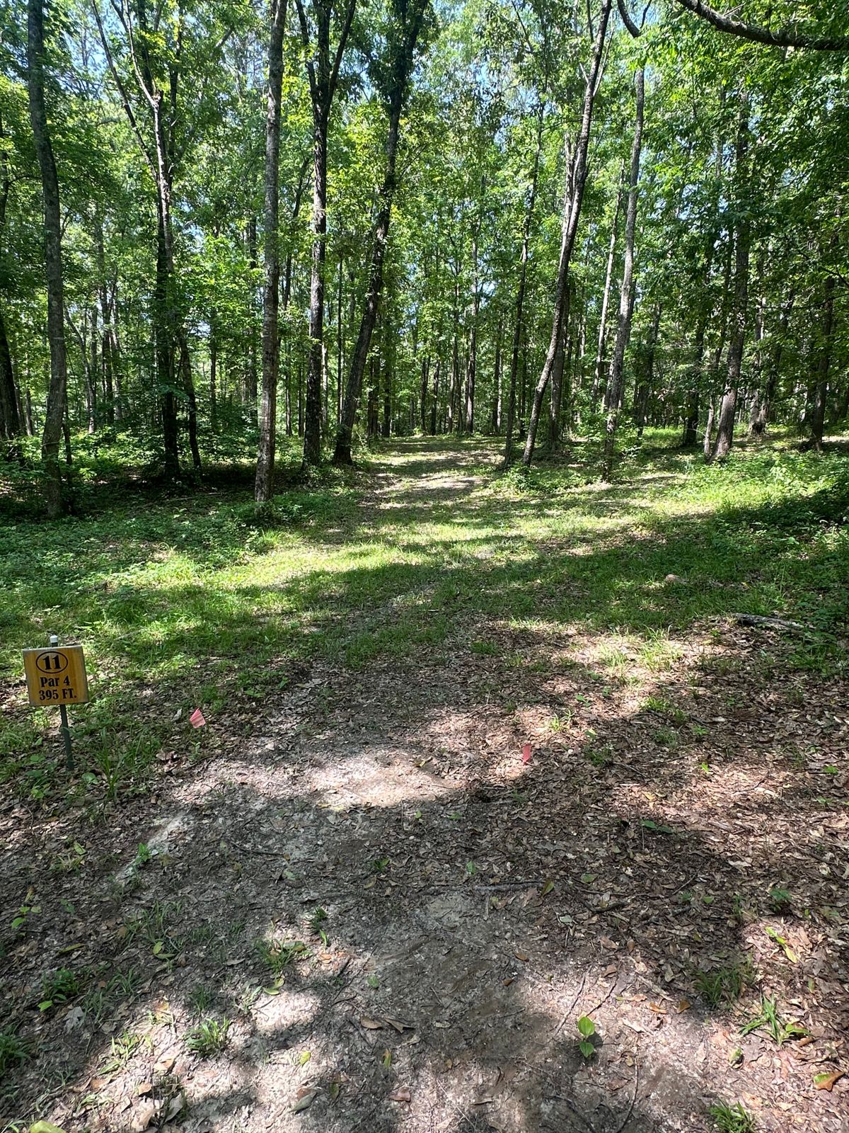 Hole 11 long tee also a double mando on this hole