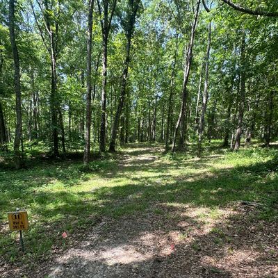 Hole 11 long tee also a double mando on this hole