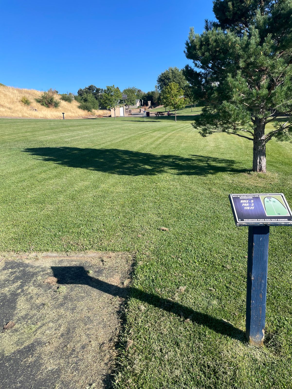 Hole 5