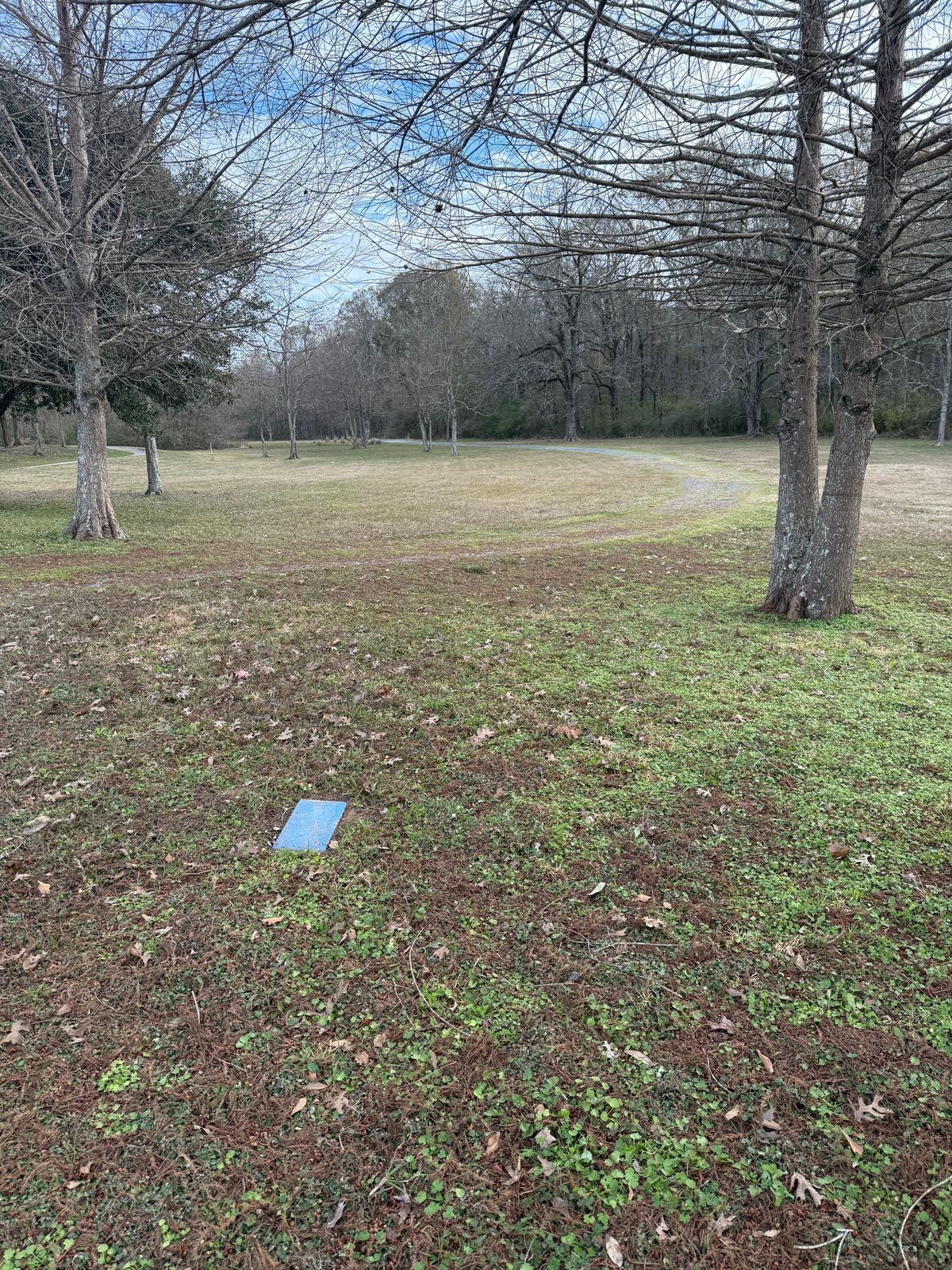 1 Tee
