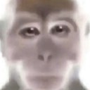 User avatar image