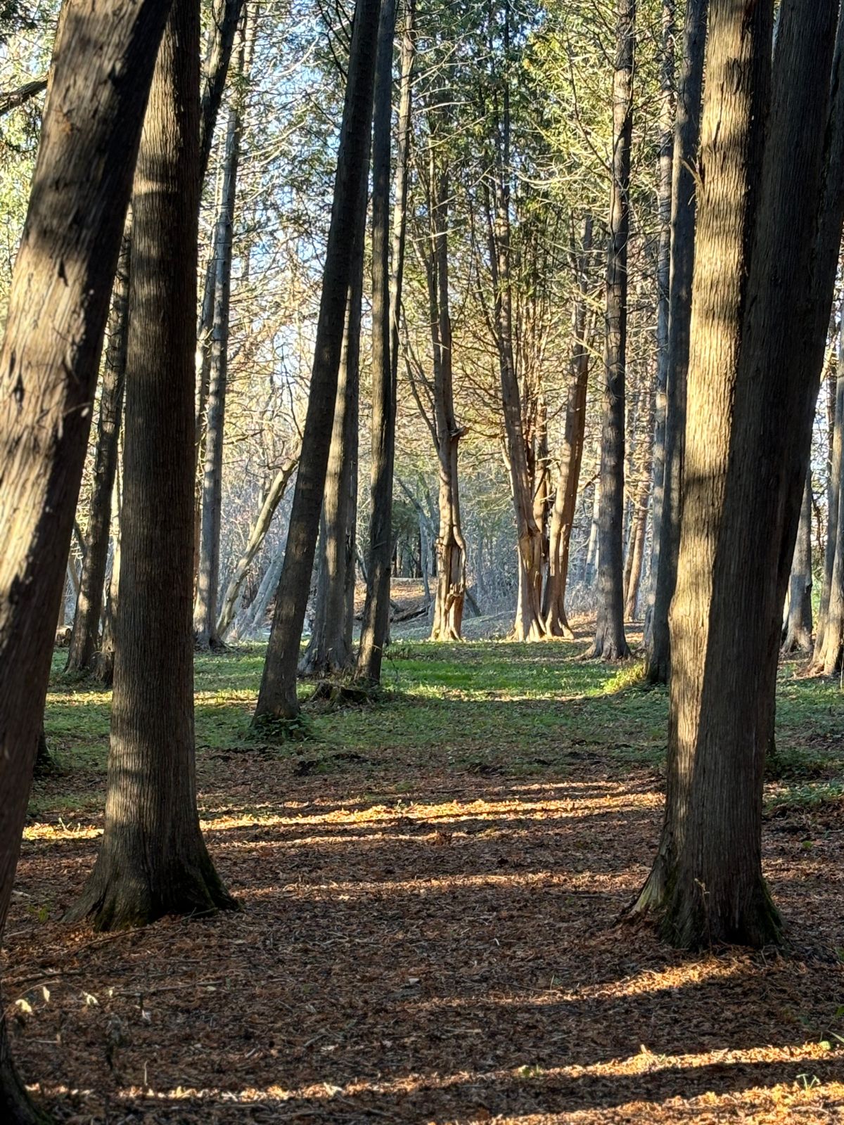 Hole 14