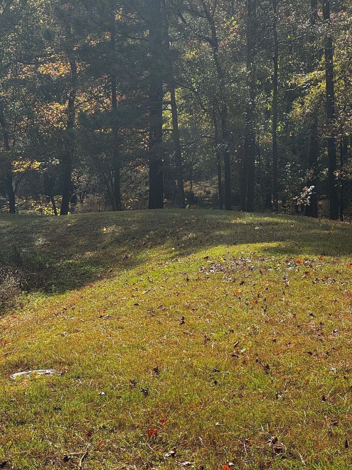 Hole 5