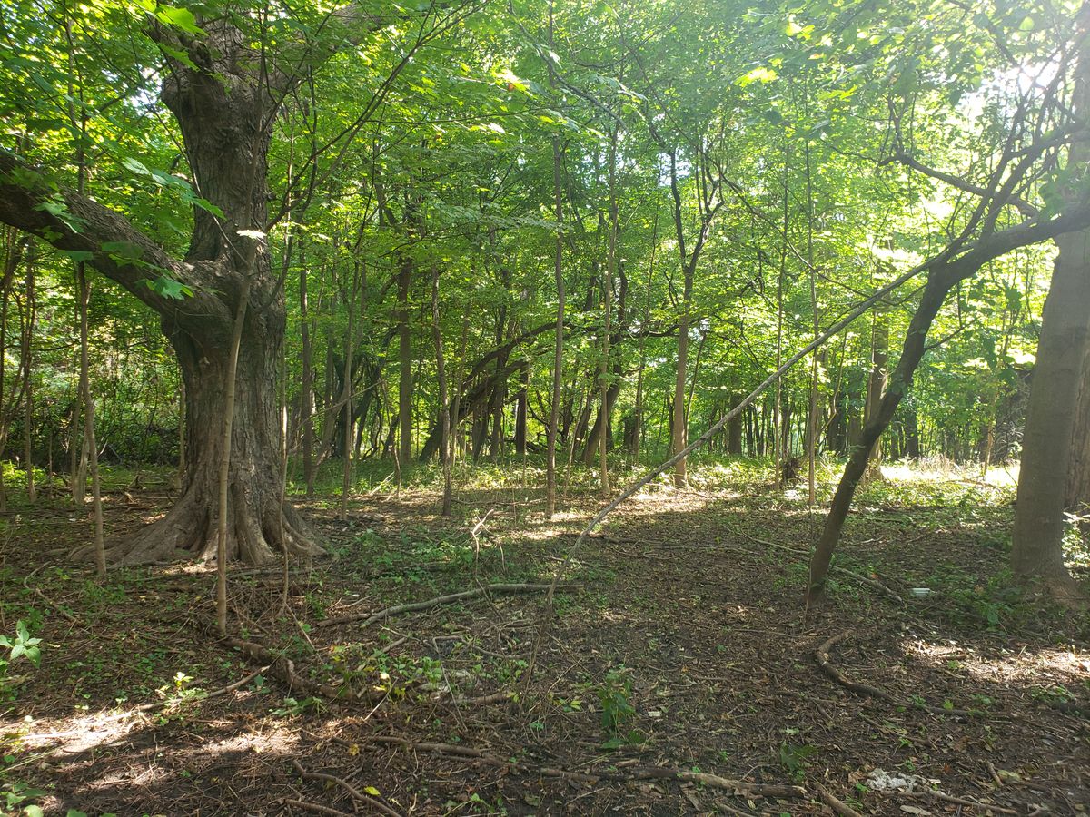 Hole 7