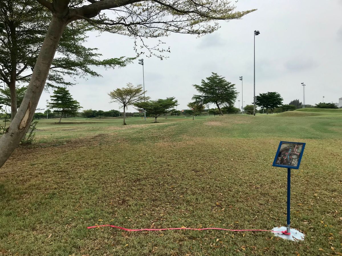 Hole 5 Tee