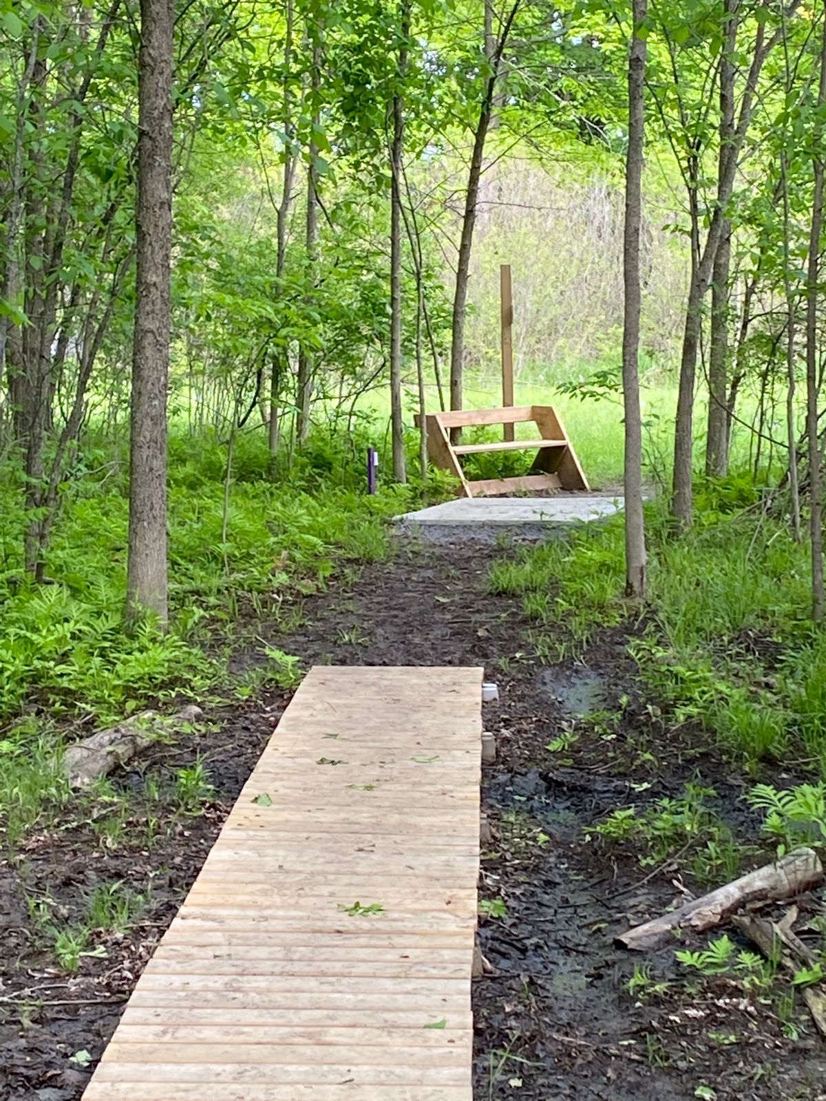 Bench and causeway on L