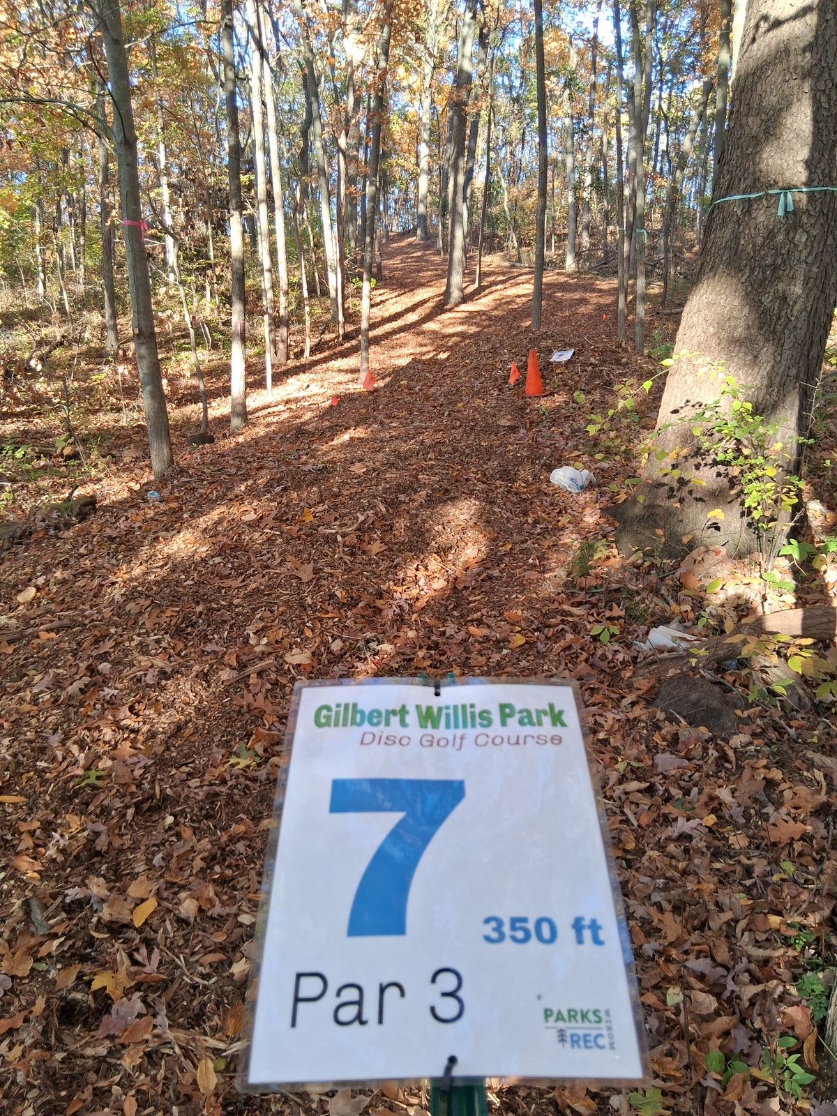 Hole 7 long, bottom of hill 350' straight uphill over 50' through tightly wooded fairway to a sunken basket
