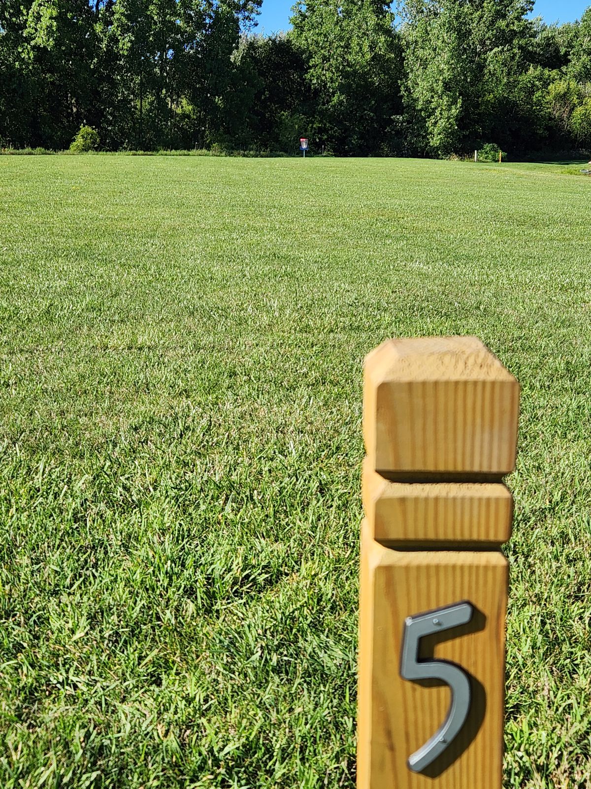 Hole 5 Basket view from the tee