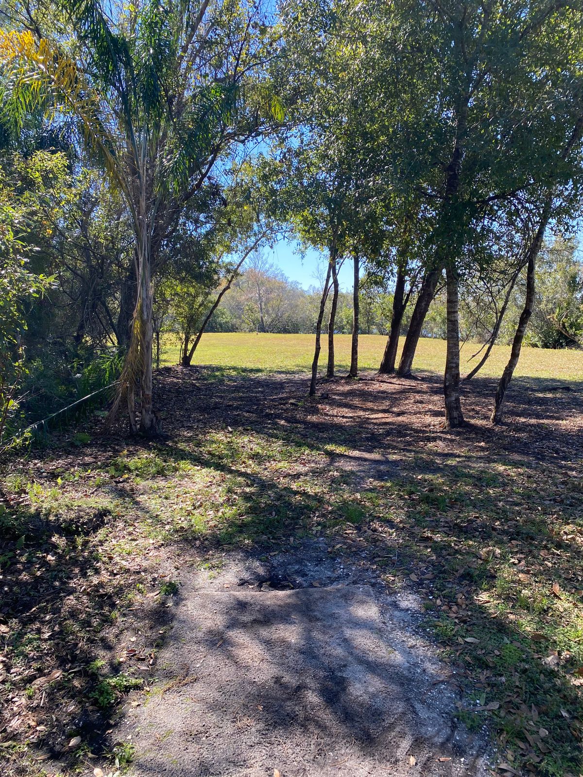 Hole 5 red tee.