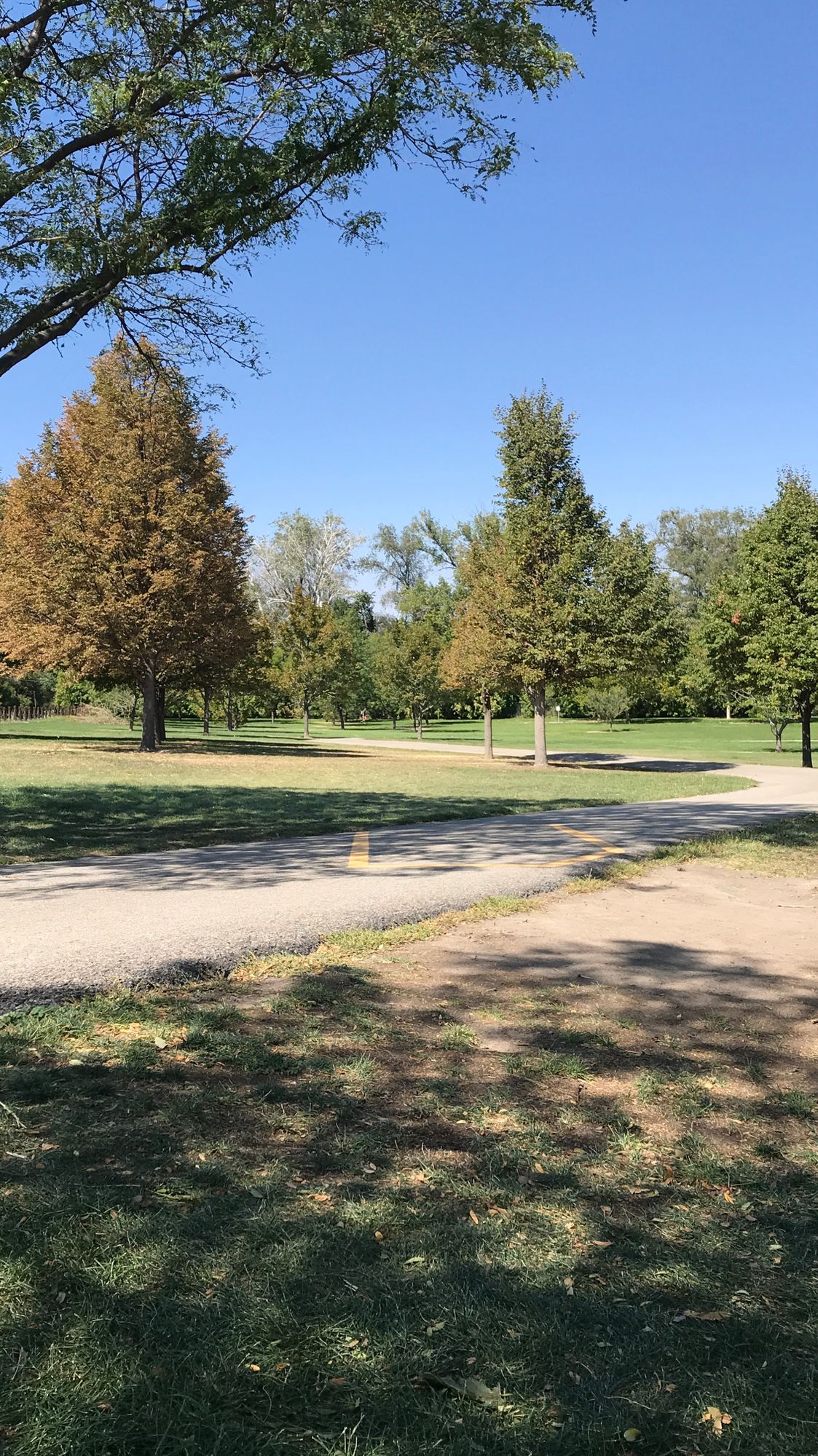 Hole 8
