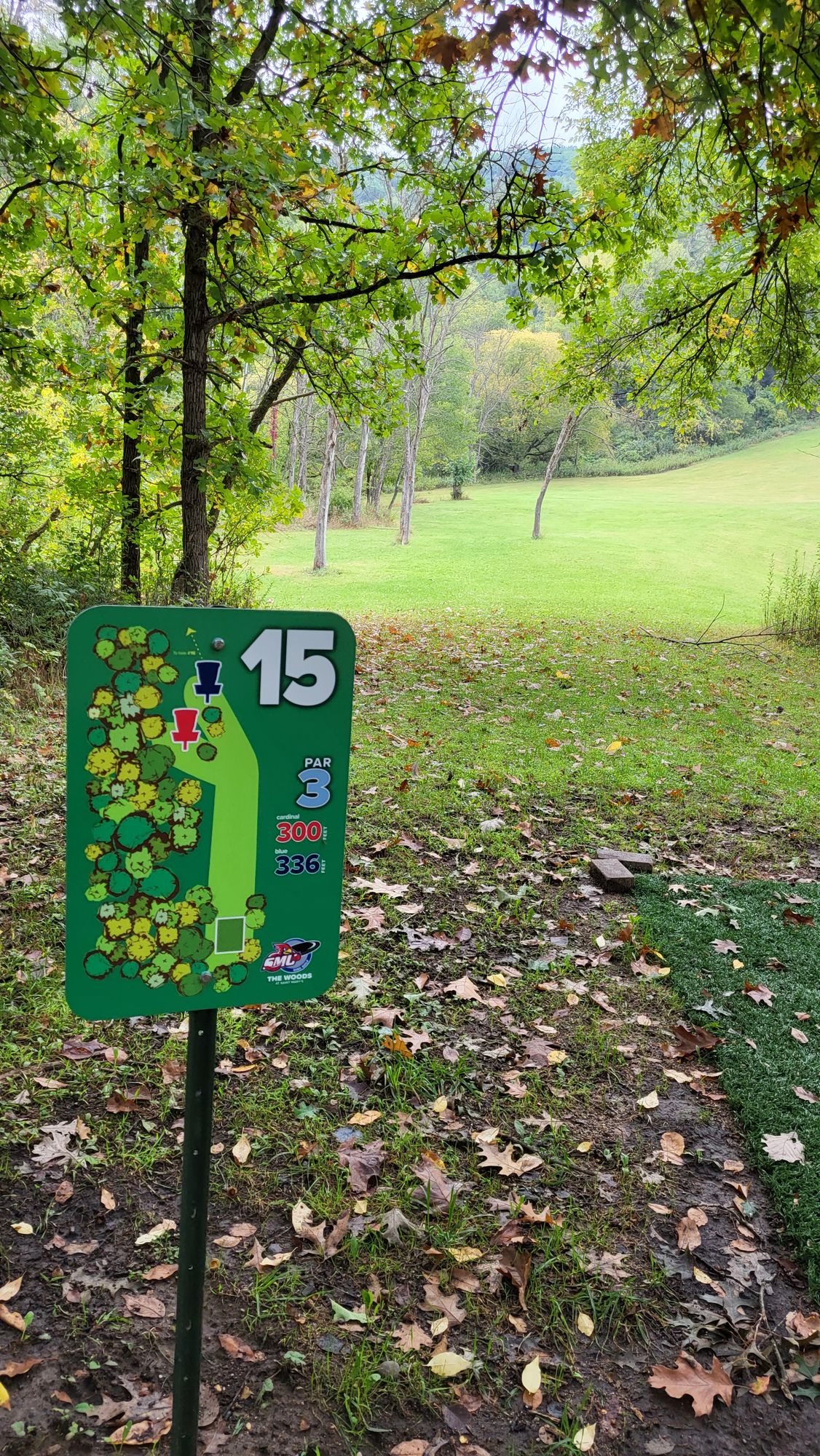 #15