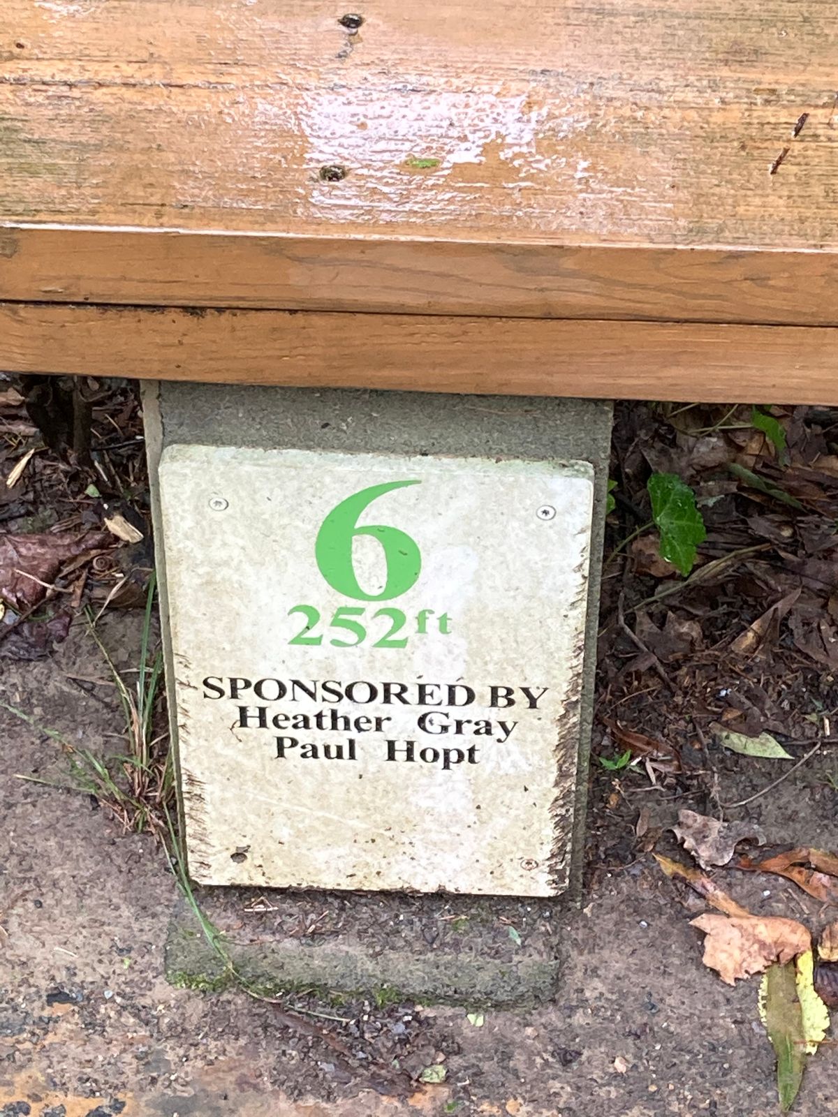 Hole 6