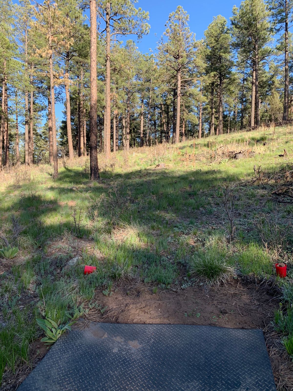 Tee 18