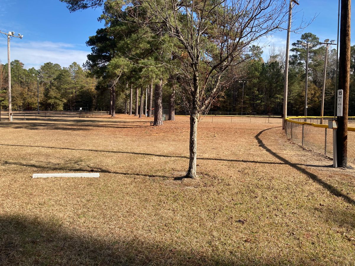 Hole 15, Tee Box, 515’ Bomb, between or over the baseball fields.