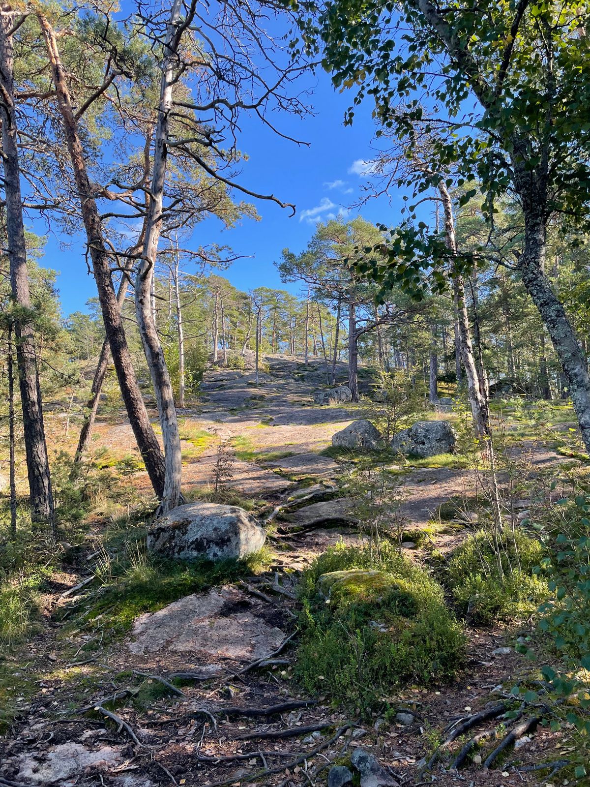 Väylä 3