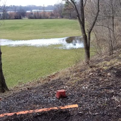 Hole 6 long tee