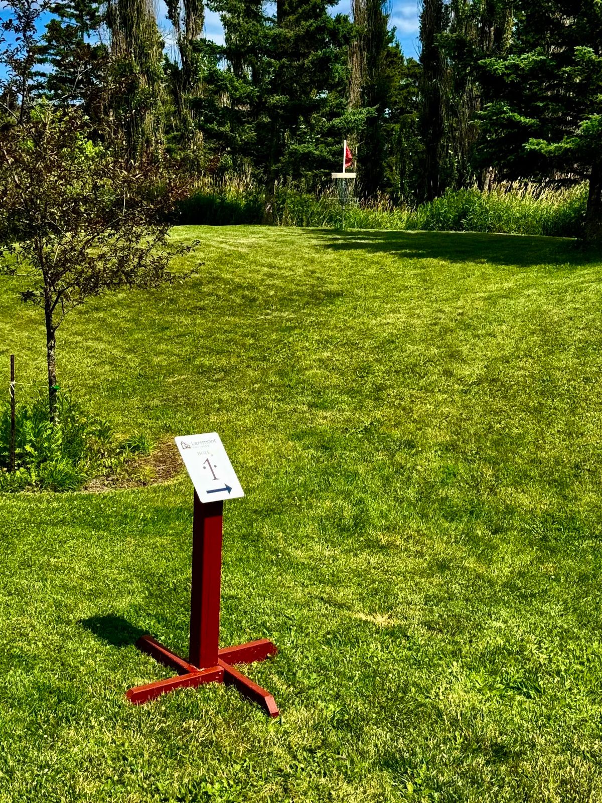 1st tee
