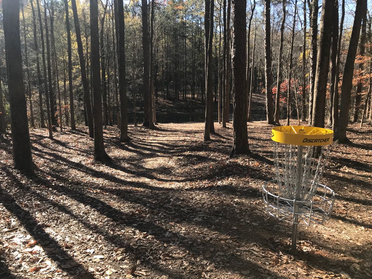 Hole 5 basket