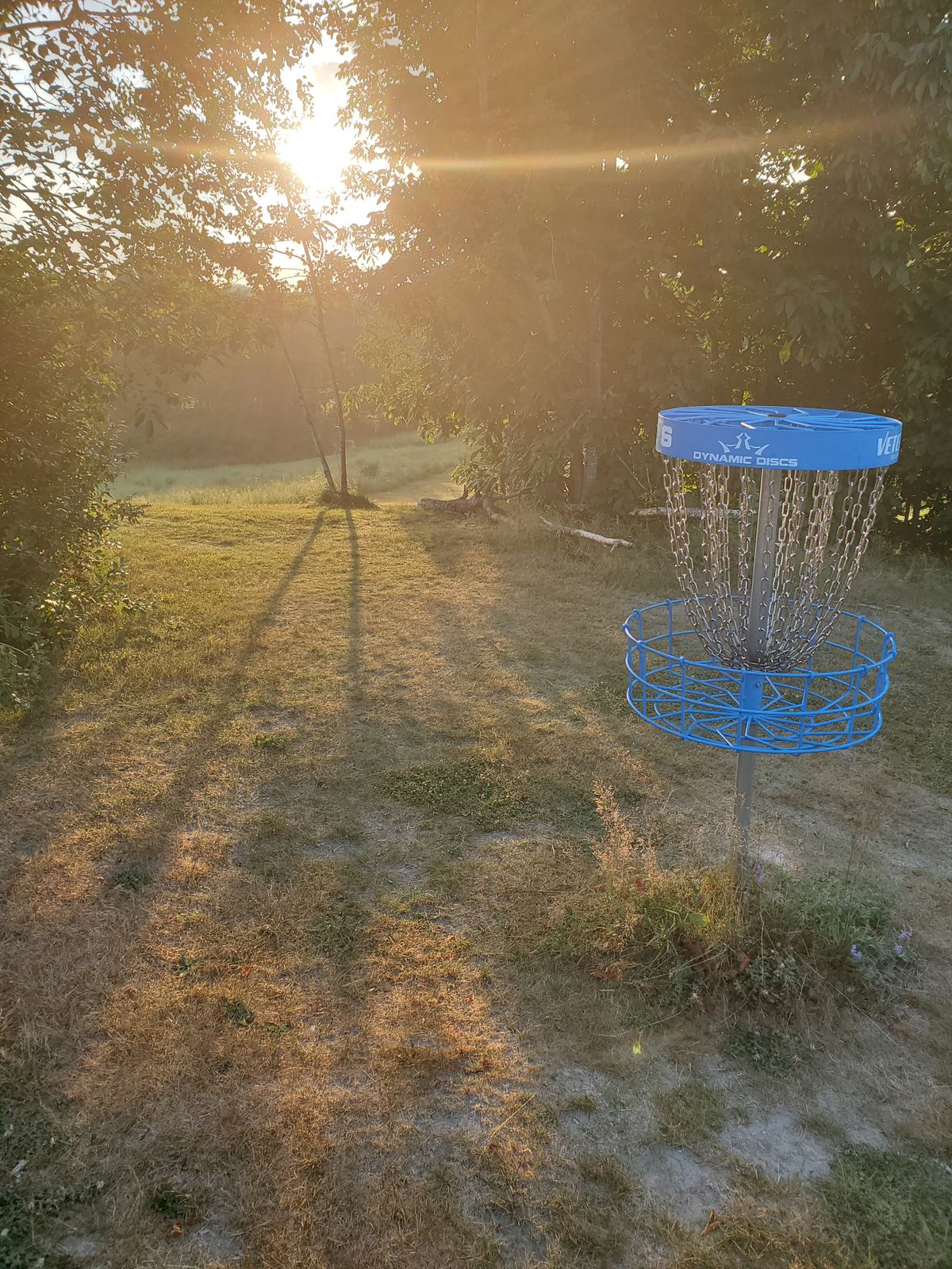 Hole 6 basket looking back to fairway