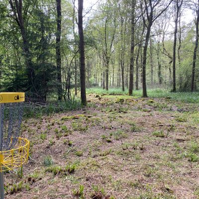 Hole 8 Basket - looking back up the fairway