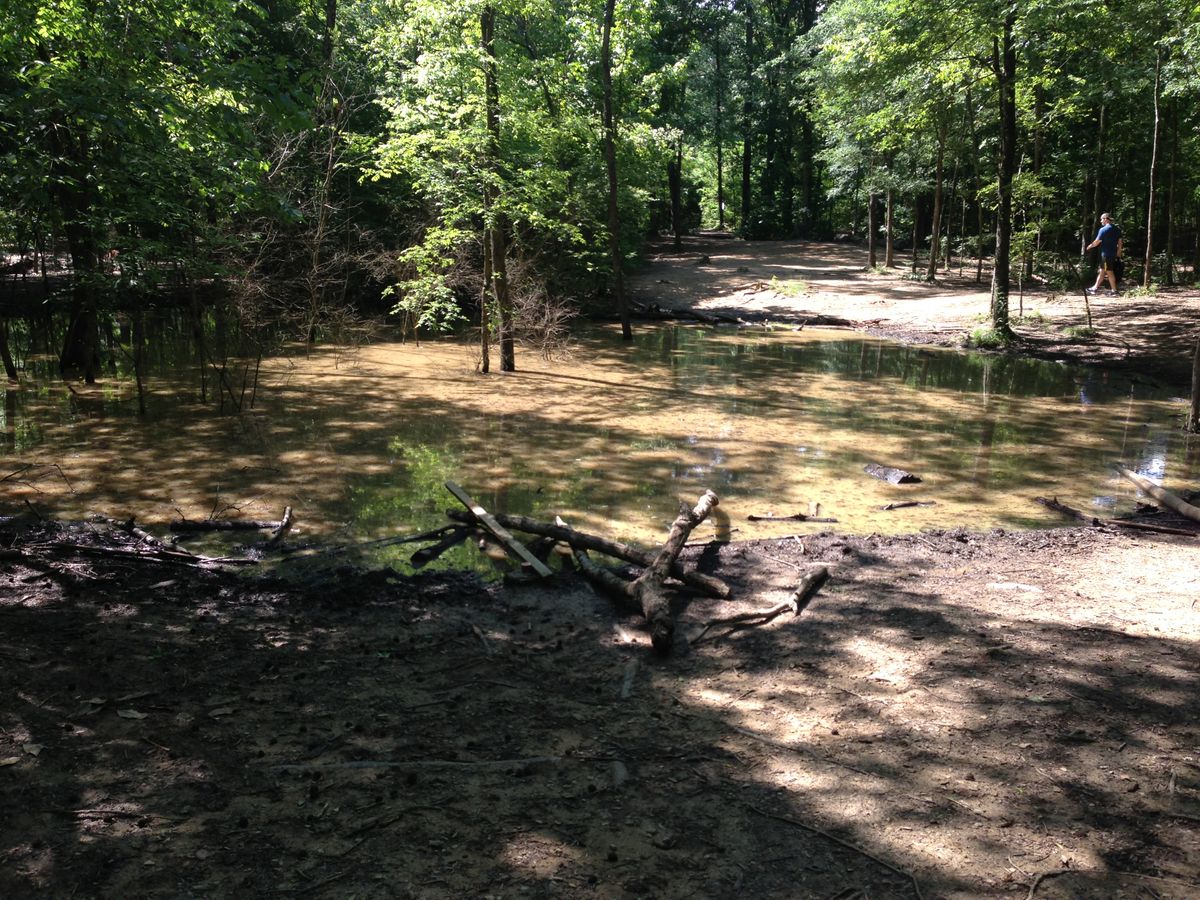 Hole 11