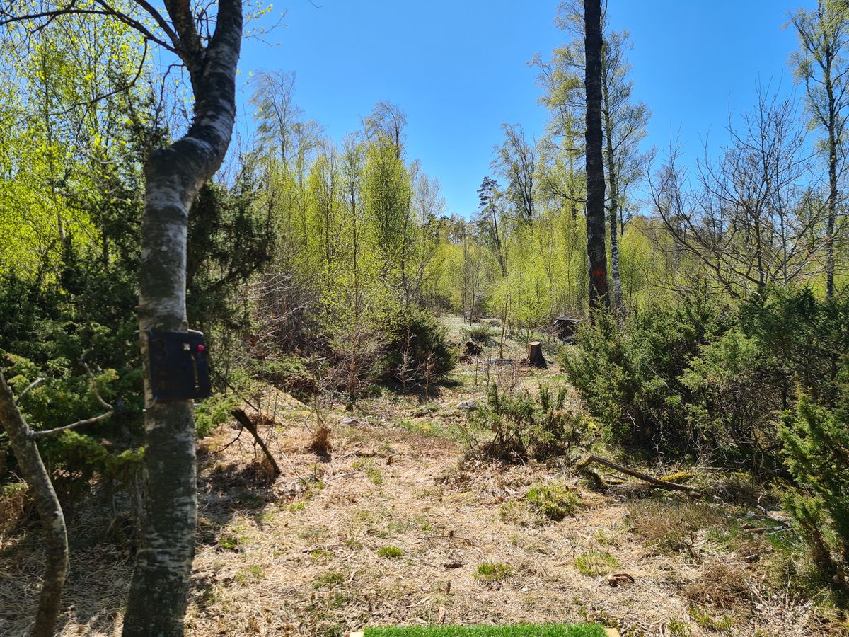 Hål 3.