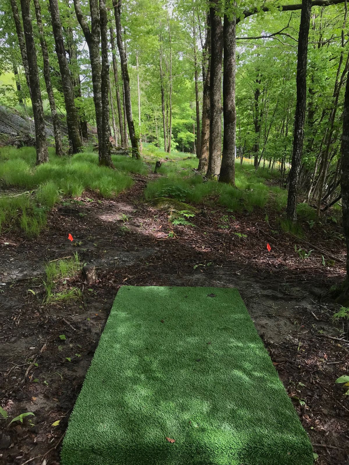 Old Hole 16 288’
