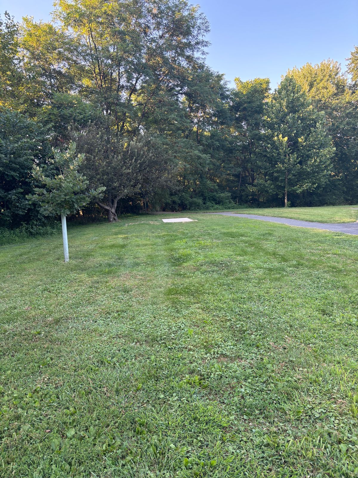 View from prior tee looking back at new tee