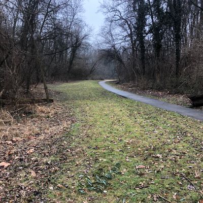 Hole #003