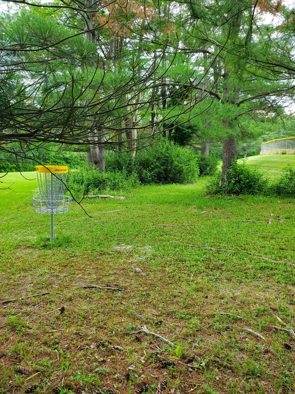 Hole 7 looking back at tees.