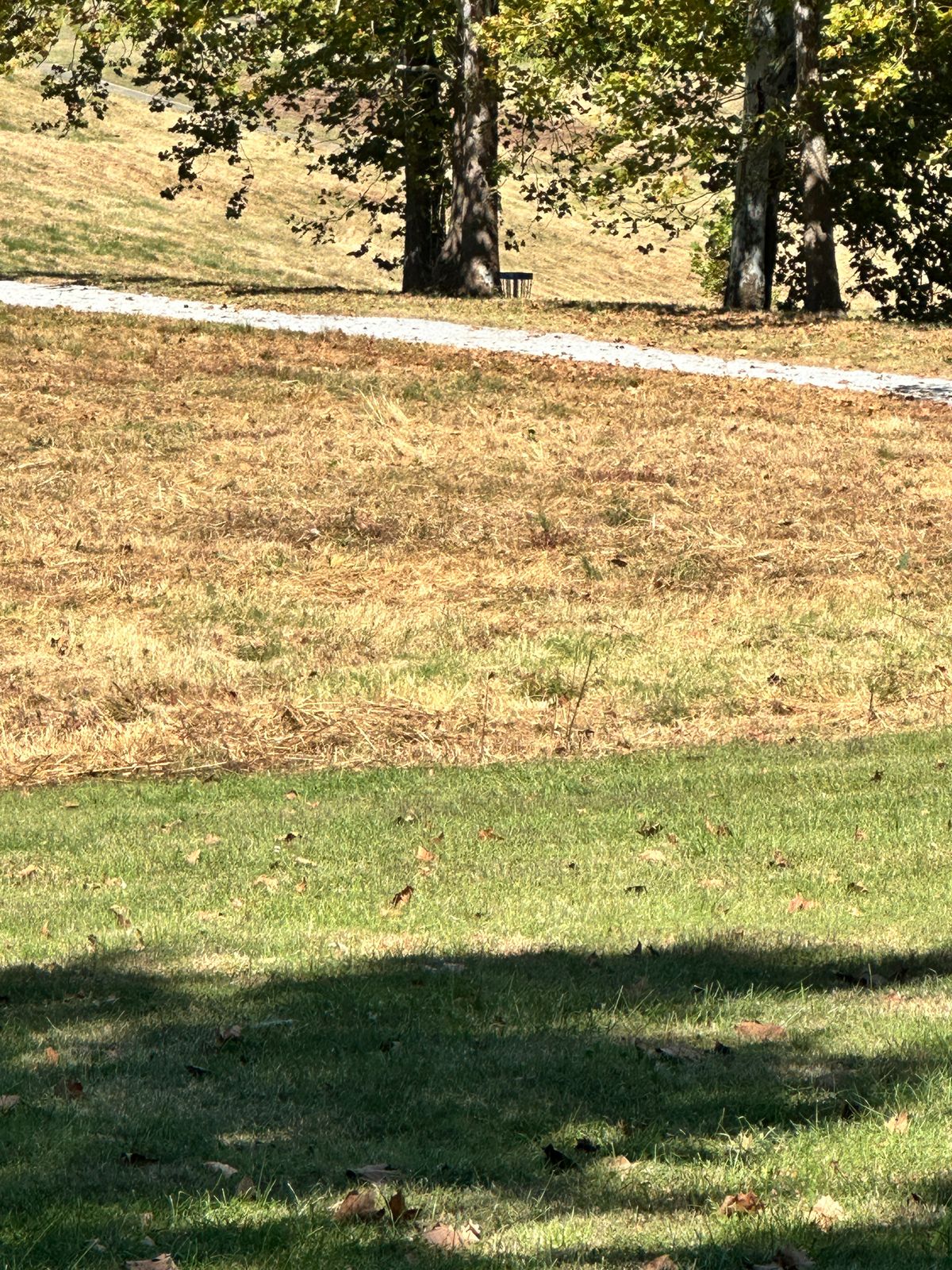 Hole 10 from tee