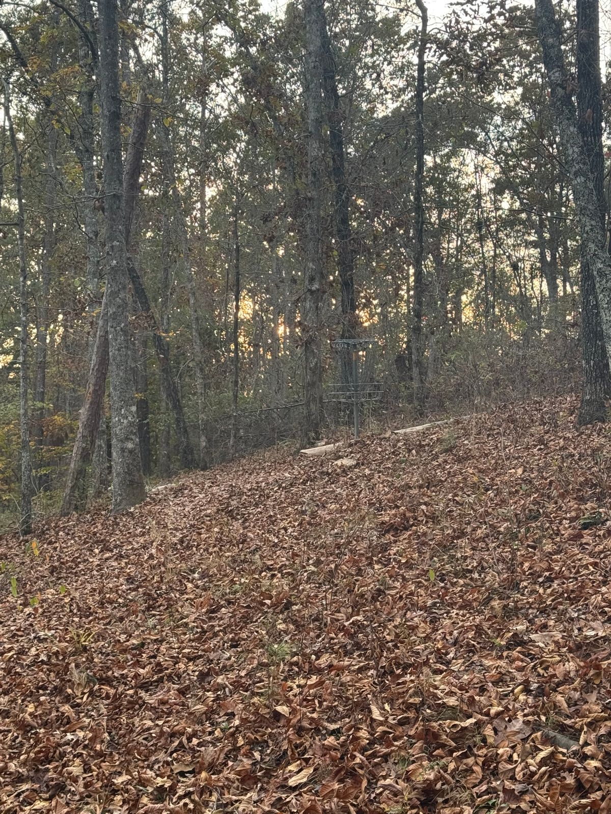 Hole 6 basket
