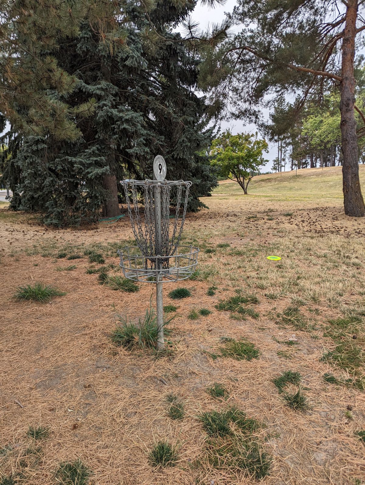 Hole #9