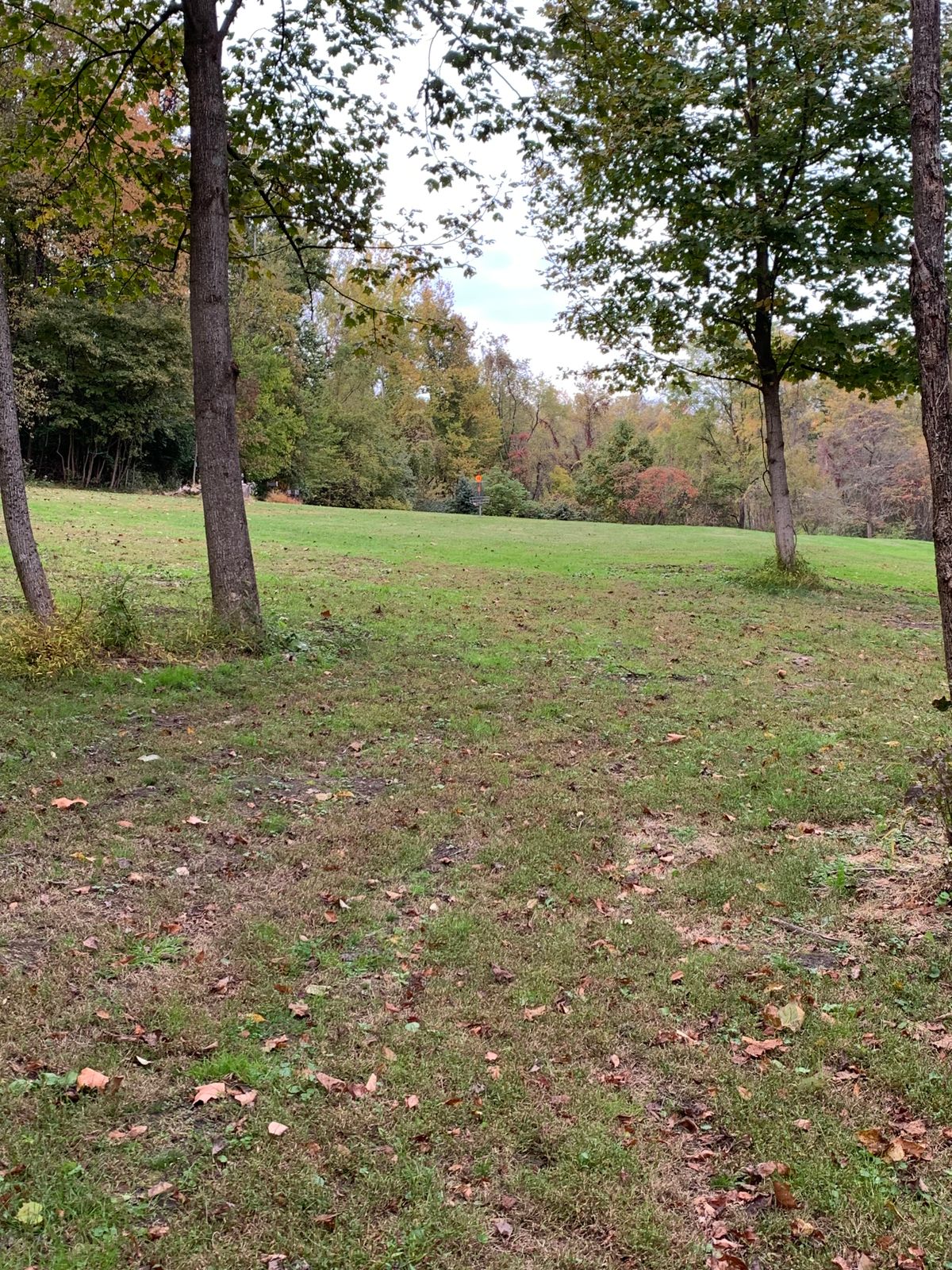 Fairway on hole 12