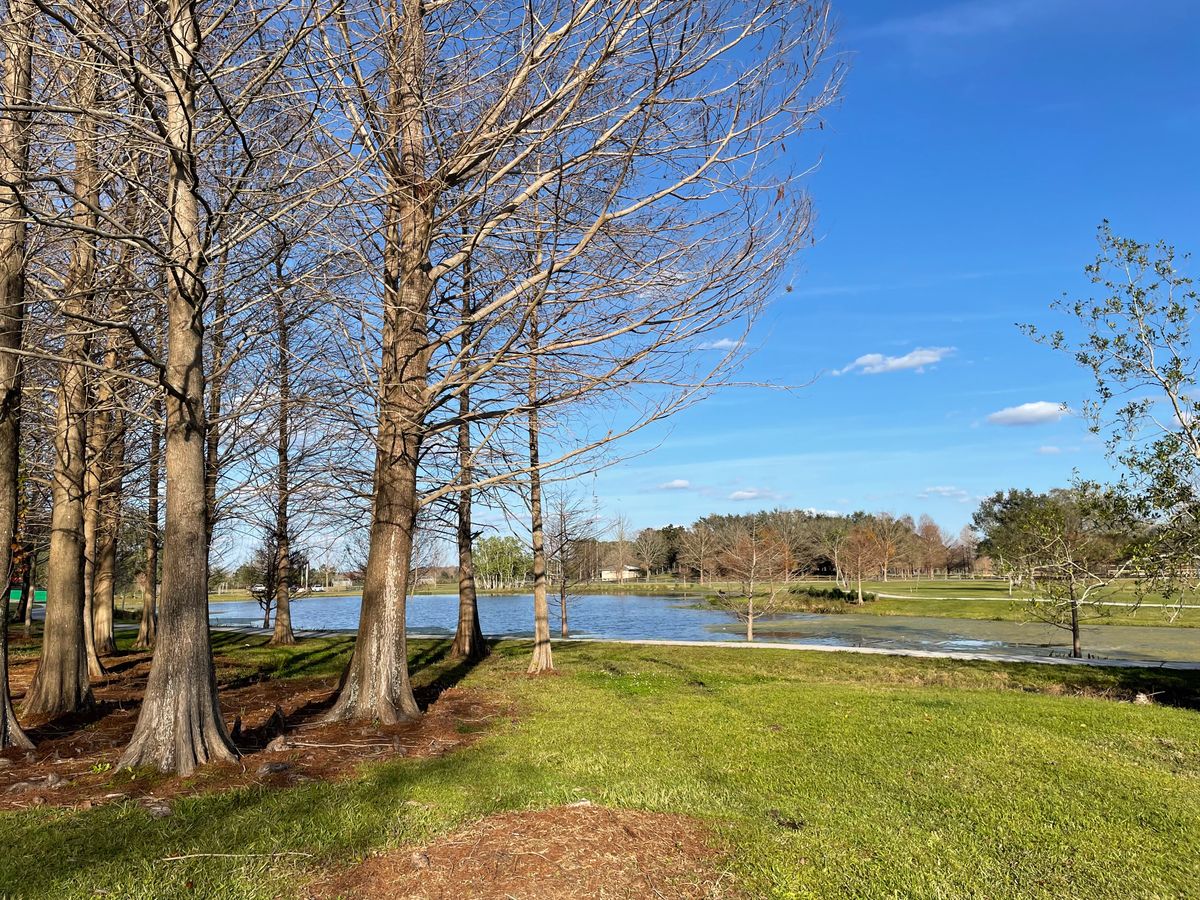 Hole 12