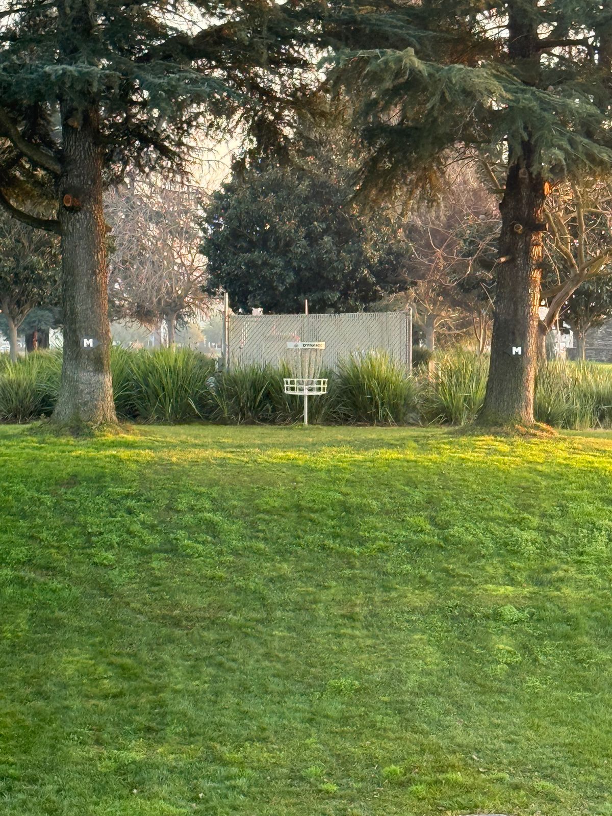 Hole #5 basket between double mando