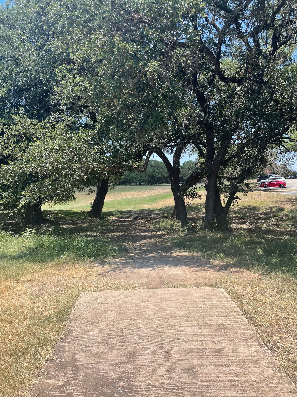 Long tee 5
