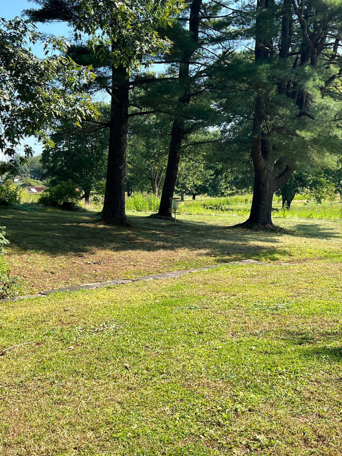 Hole 7 Basket