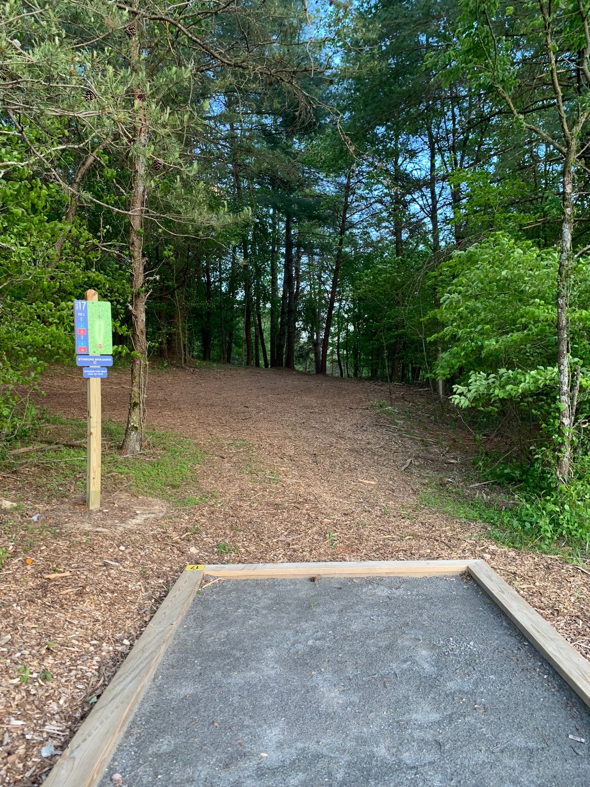 Tee Box Hole #17