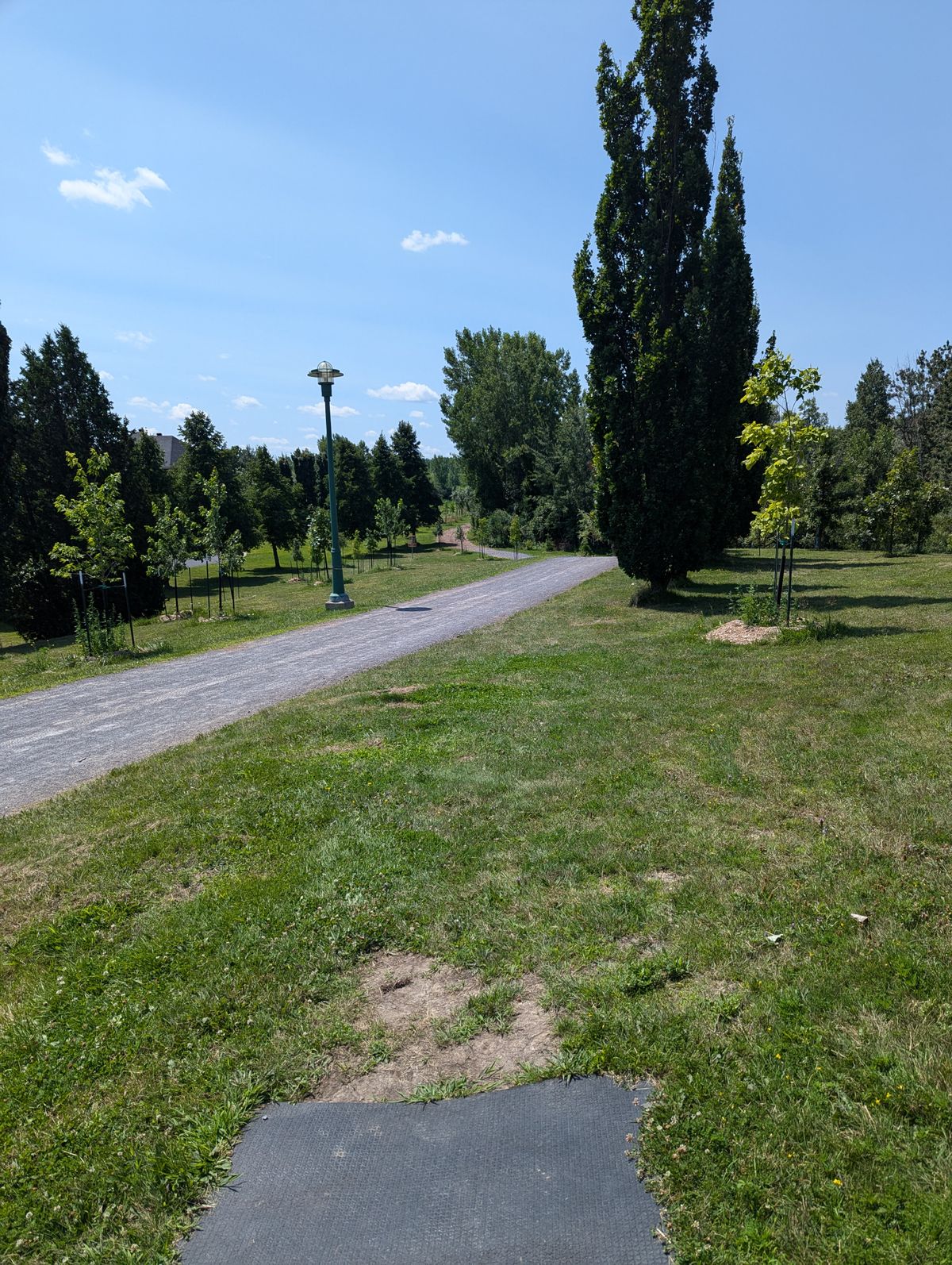 Hole 7 - Long