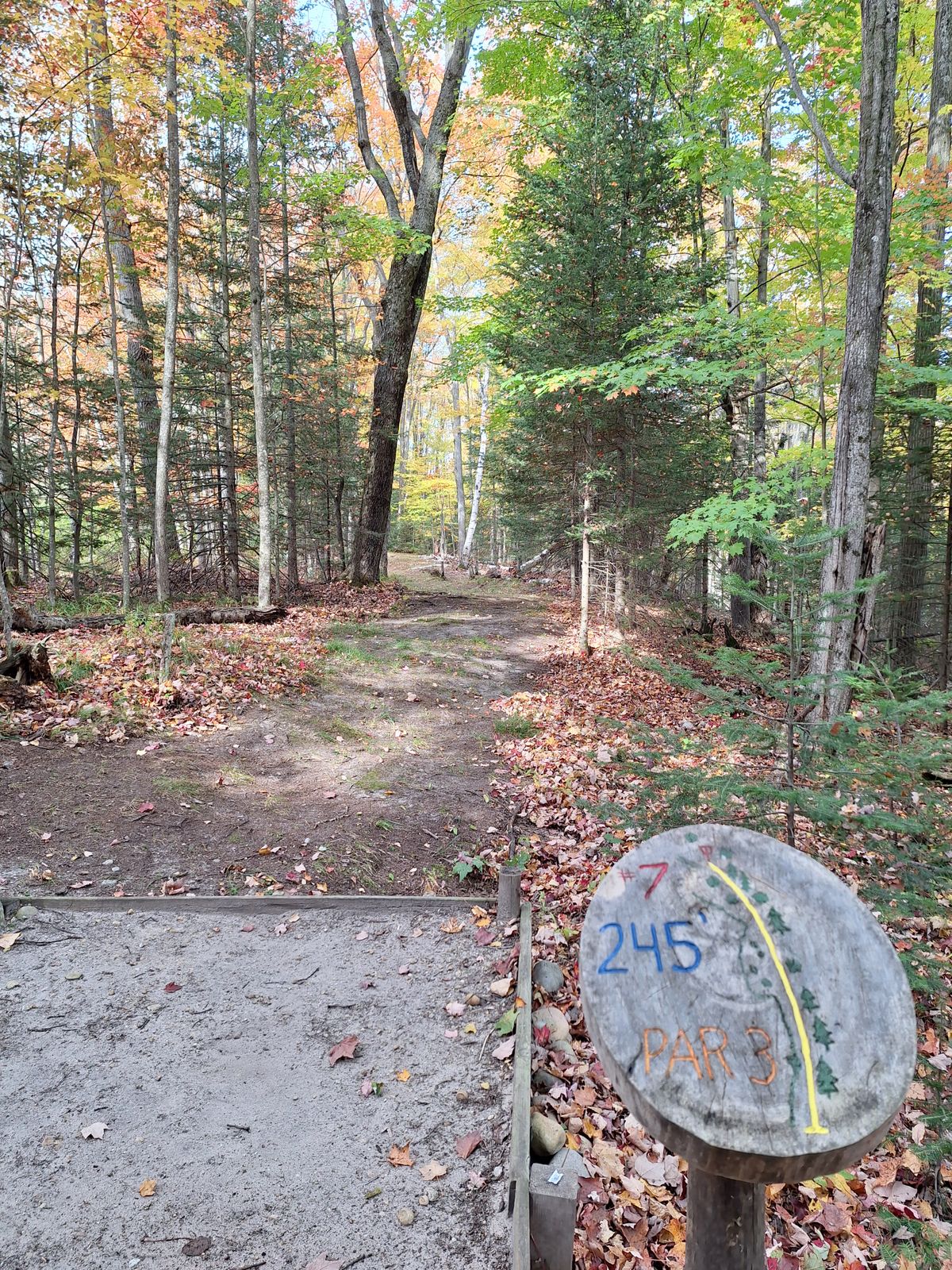 Hole 7, also named Fallen Birch