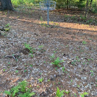 Hole 7