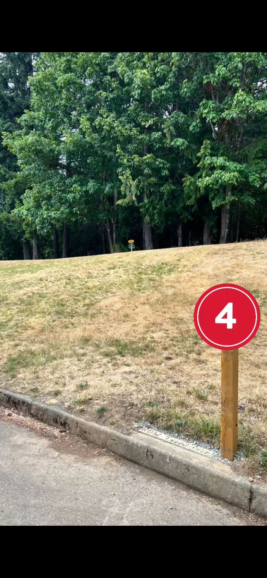 Basket located in the middle of the trees , ideal anhyzer throw, PAR3